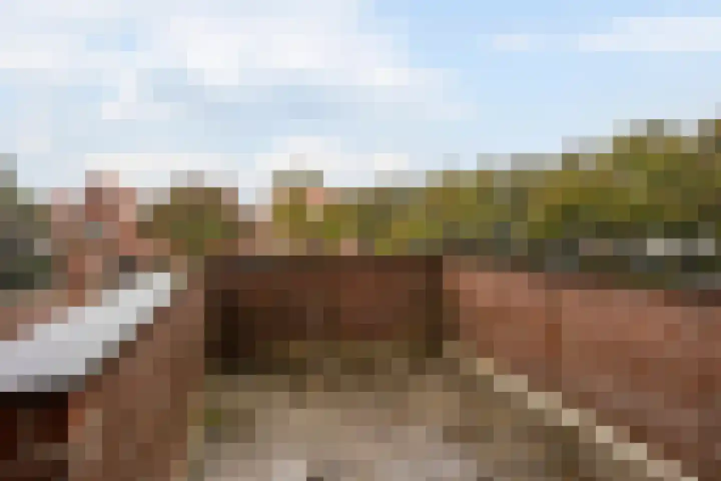 Kraaijesteijn 130 Honselersdijk thumbnail 40