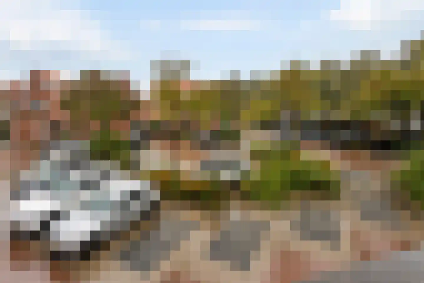 Kraaijesteijn 130 Honselersdijk thumbnail 41