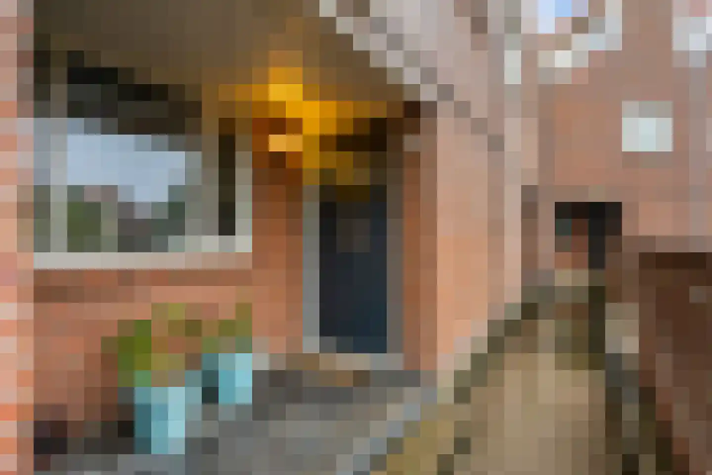 Kraaijesteijn 130 Honselersdijk thumbnail 43