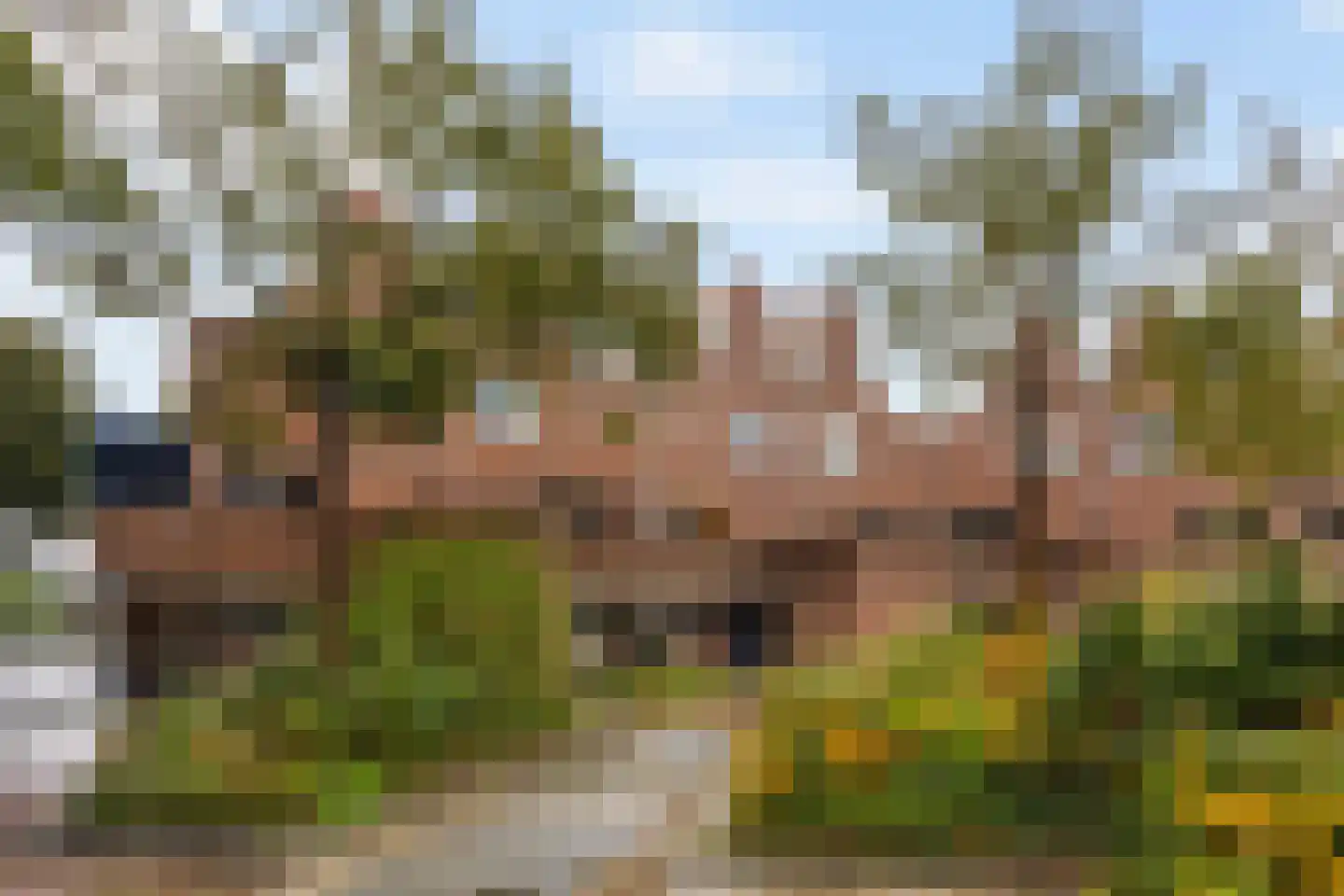 Kraaijesteijn 130 Honselersdijk thumbnail 44