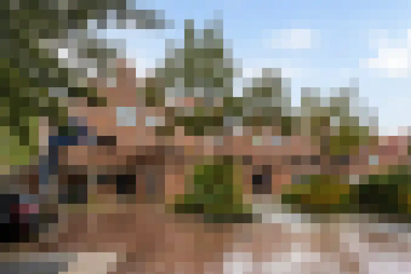 Kraaijesteijn 130 Honselersdijk thumbnail 46