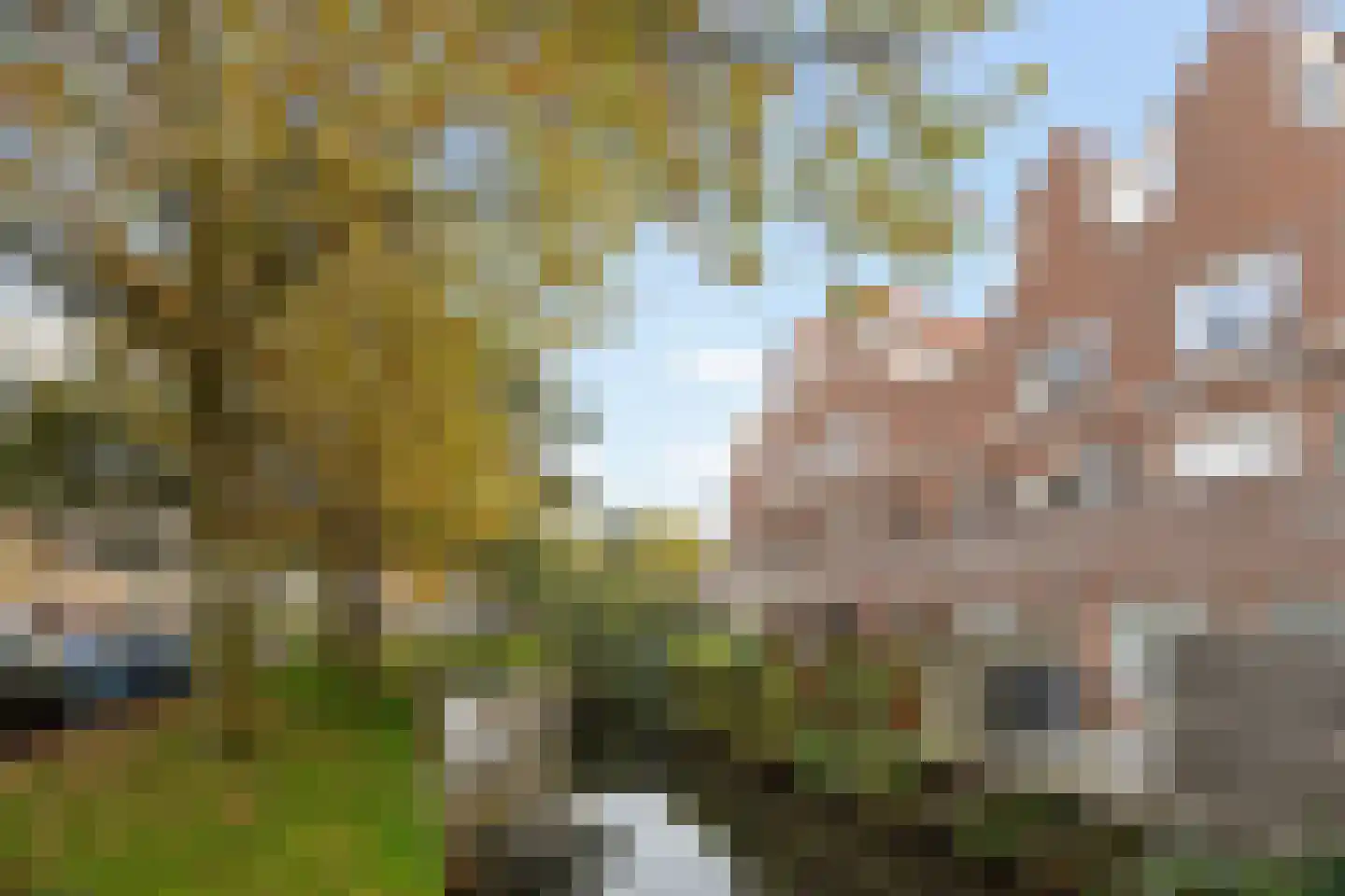 Kraaijesteijn 130 Honselersdijk thumbnail 47