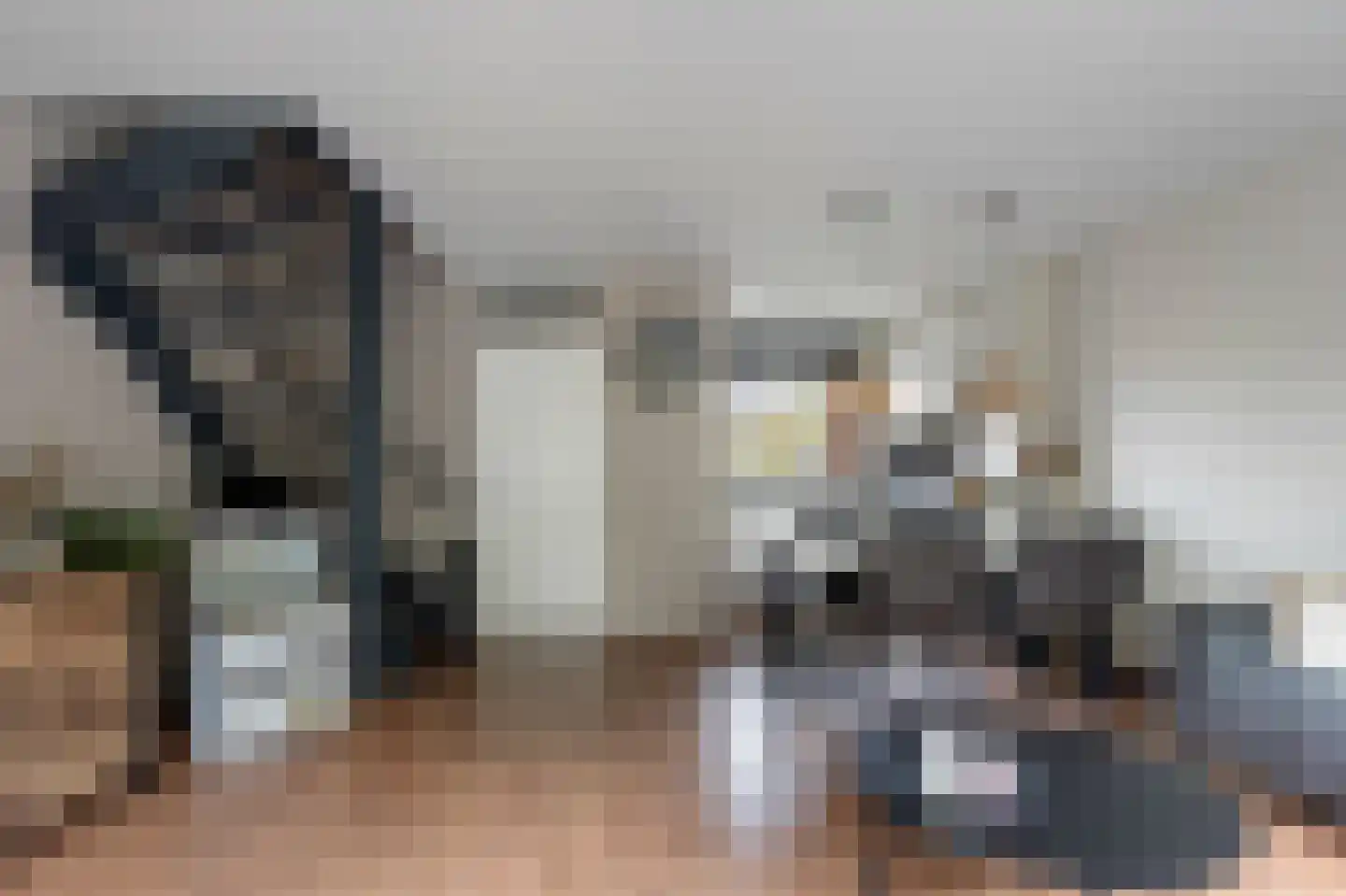 Kraaijesteijn 130 Honselersdijk thumbnail 7