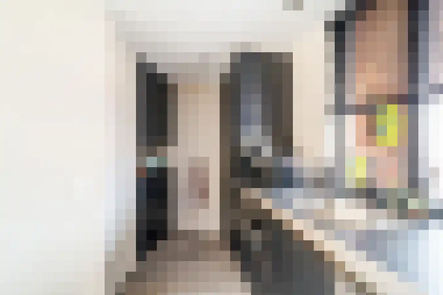Kraaijesteijn 132 Honselersdijk thumbnail 10