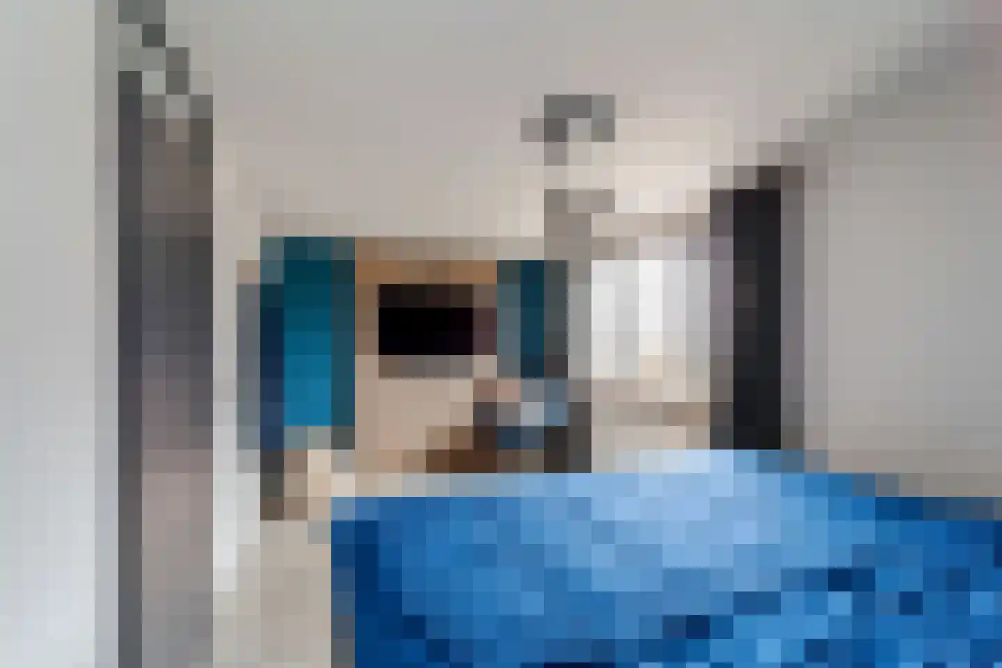 Kraaijesteijn 132 Honselersdijk thumbnail 18