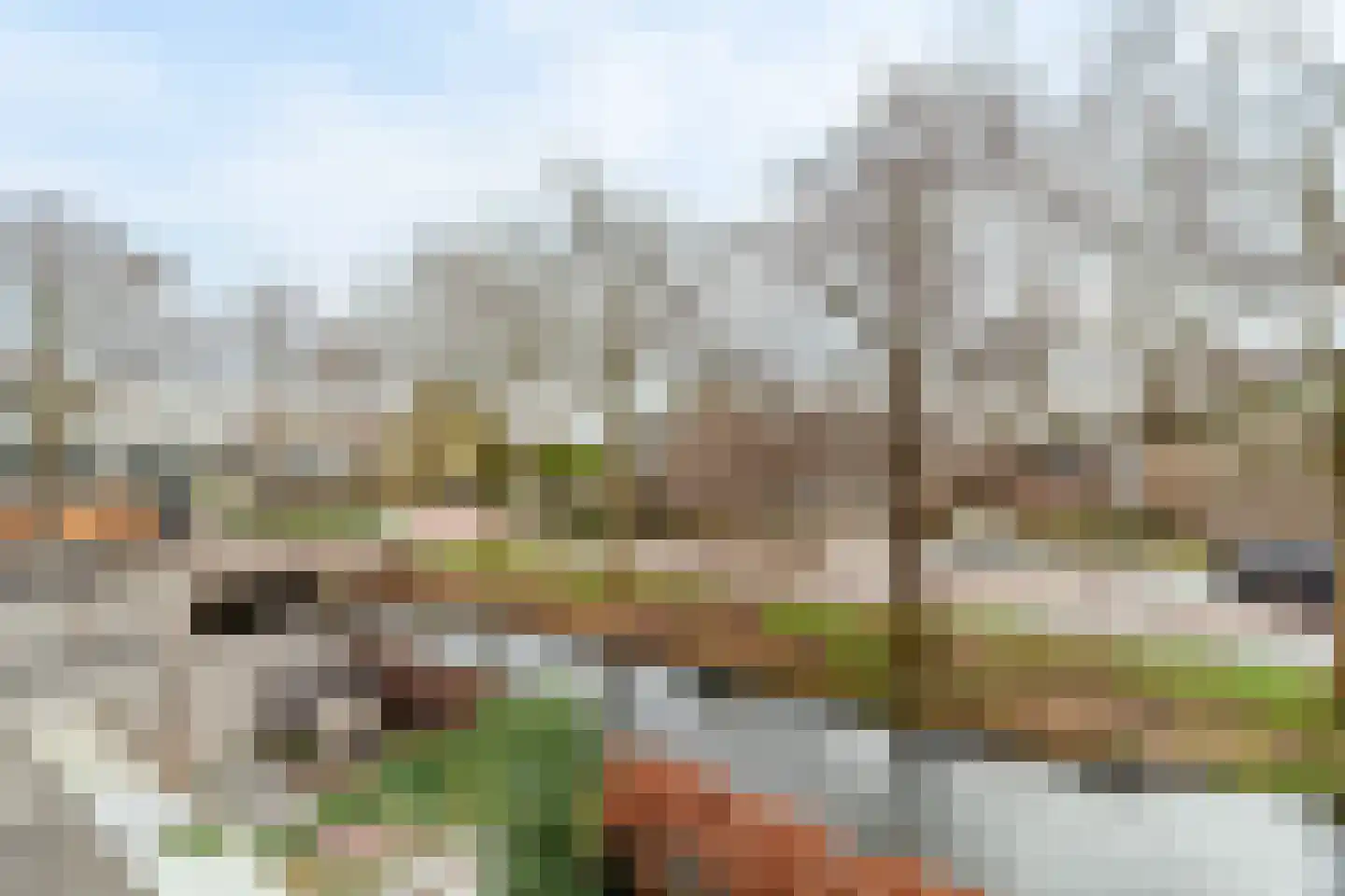 Kraaijesteijn 132 Honselersdijk thumbnail 30