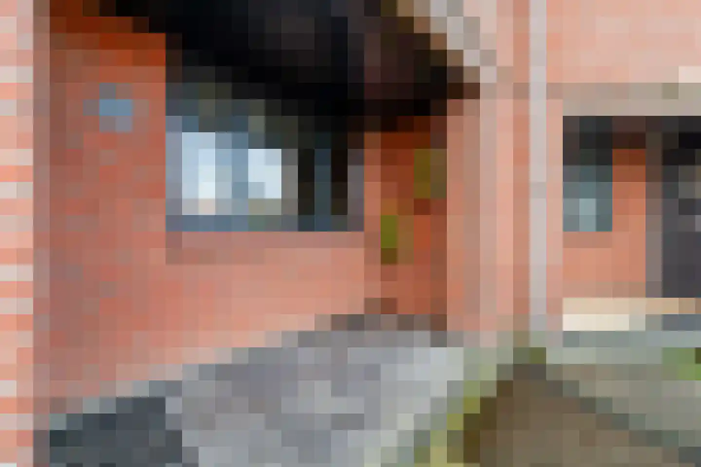 Kraaijesteijn 132 Honselersdijk thumbnail 32