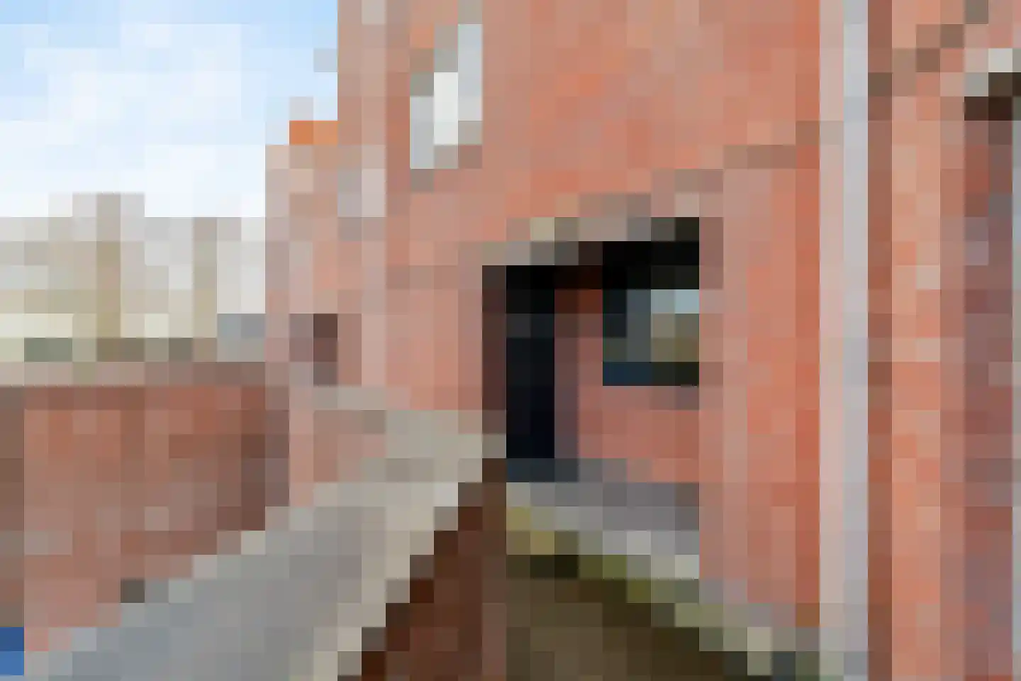 Kraaijesteijn 132 Honselersdijk thumbnail 33