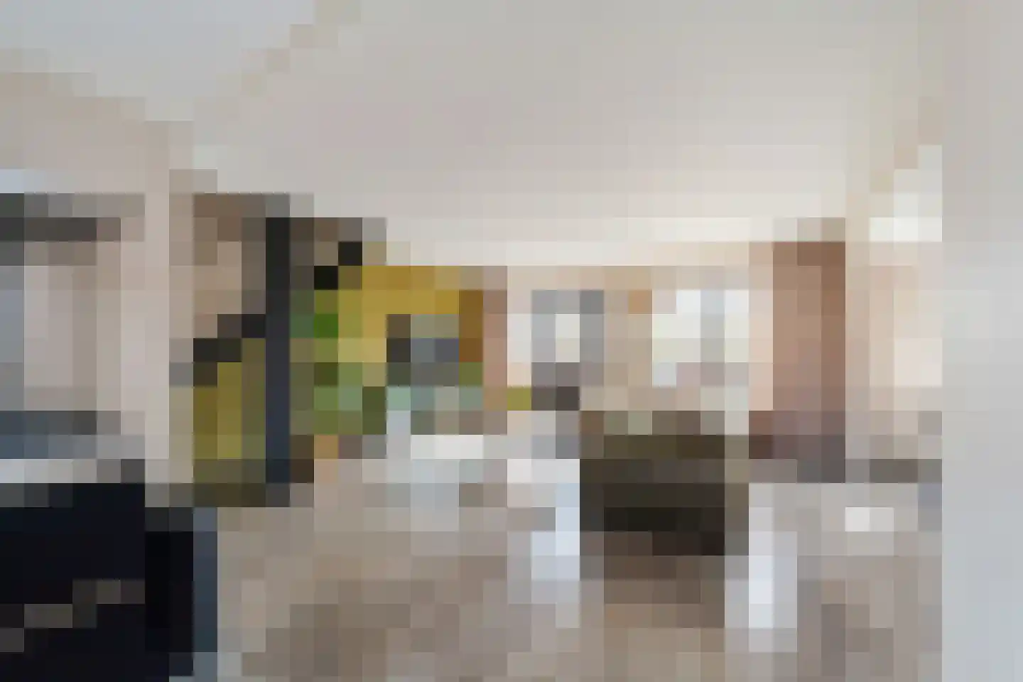 Kraaijesteijn 132 Honselersdijk thumbnail 4