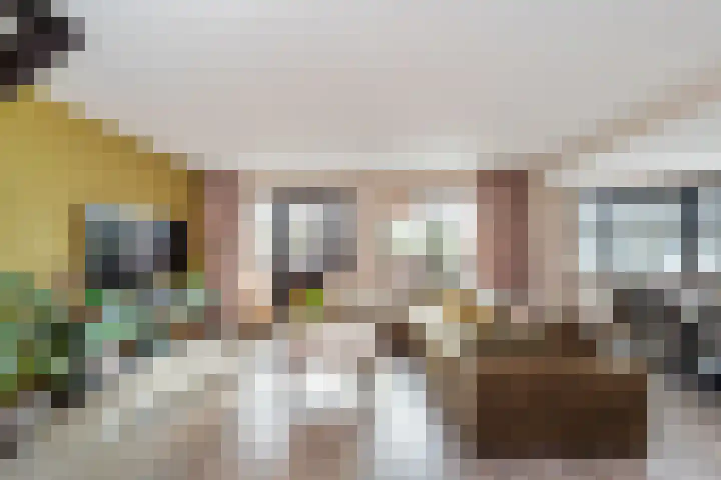 Kraaijesteijn 132 Honselersdijk thumbnail 5