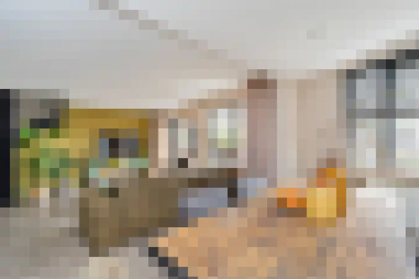 Kraaijesteijn 132 Honselersdijk thumbnail 6