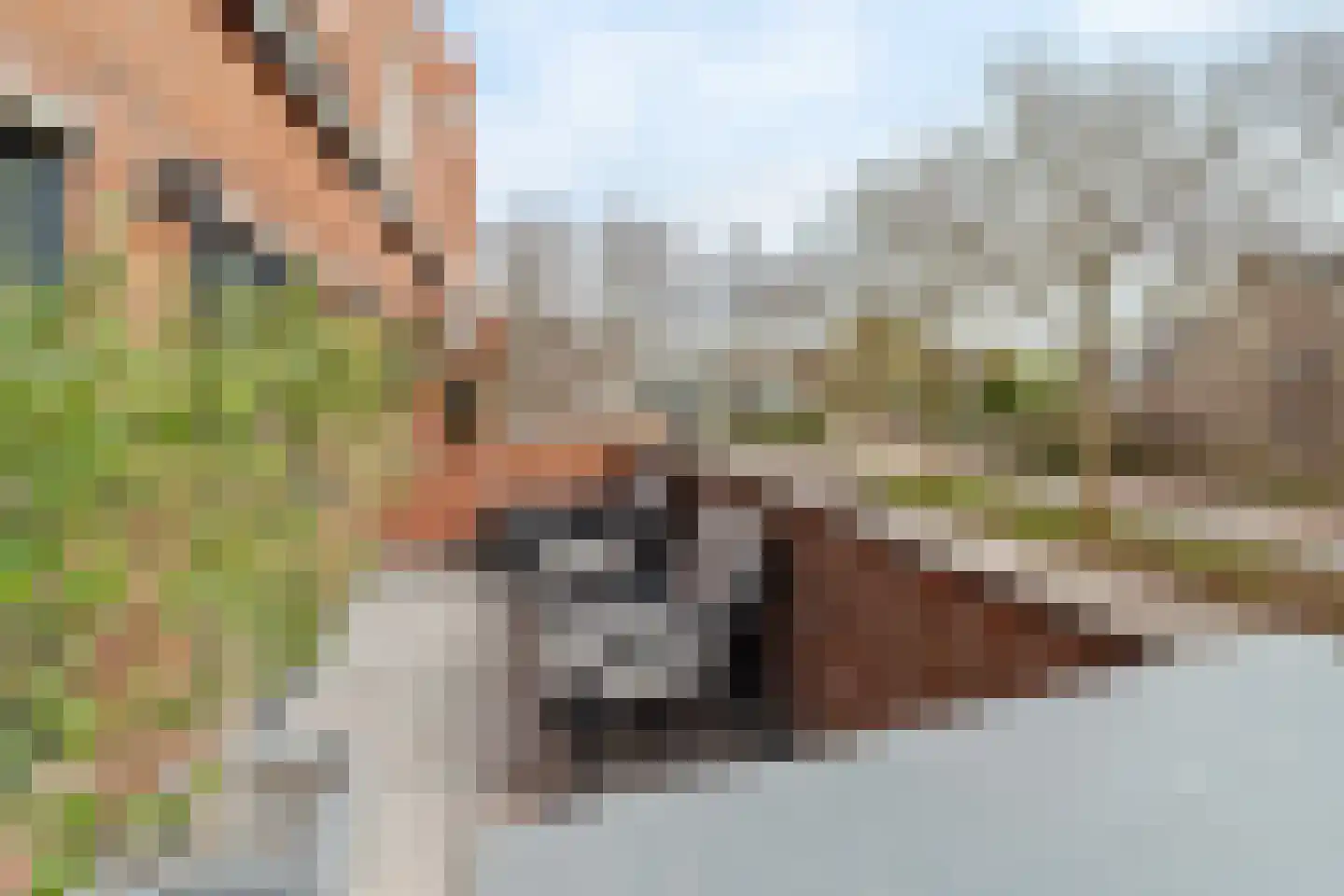 Kraaijesteijn 132 Honselersdijk thumbnail 7