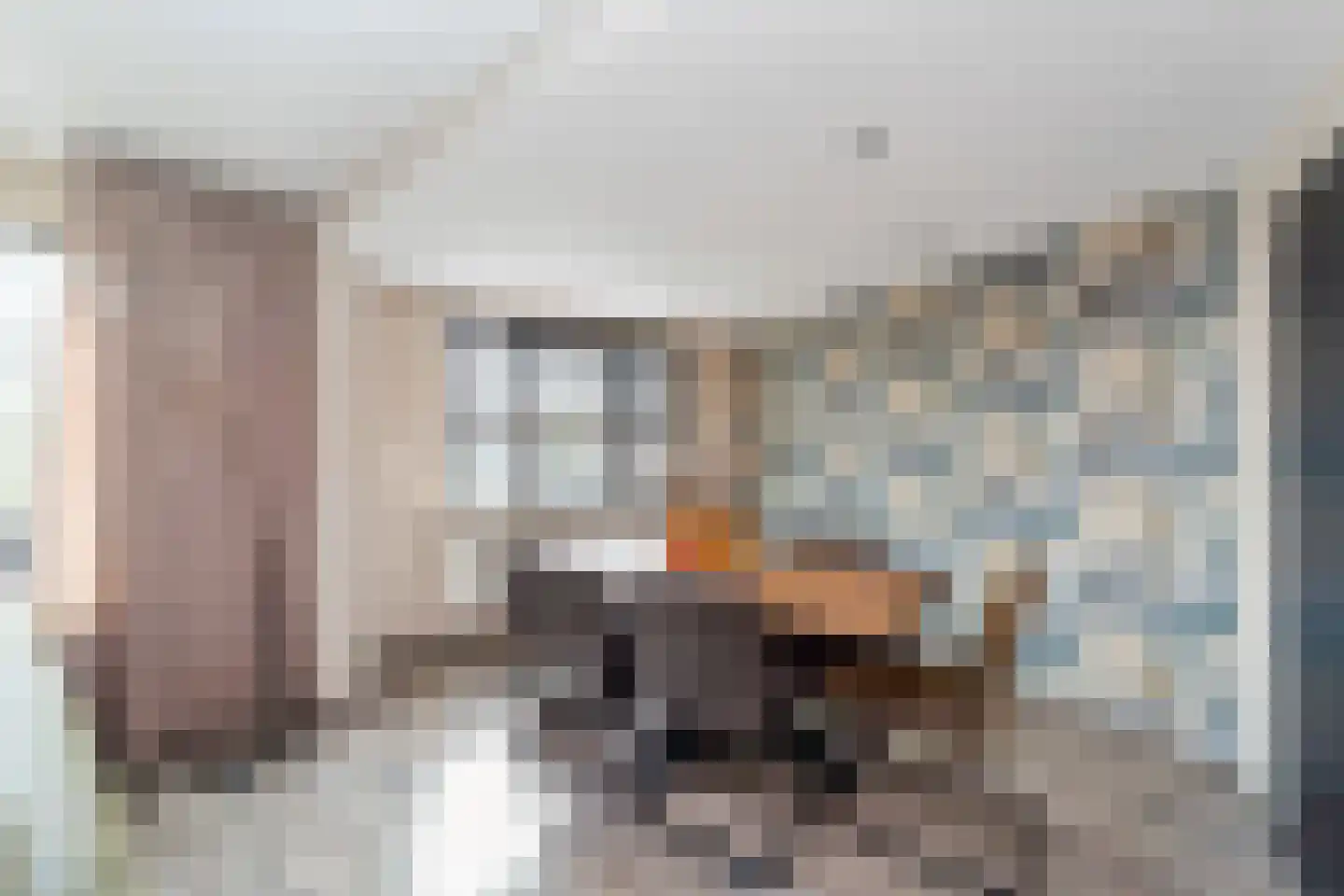 Kraaijesteijn 132 Honselersdijk thumbnail 8