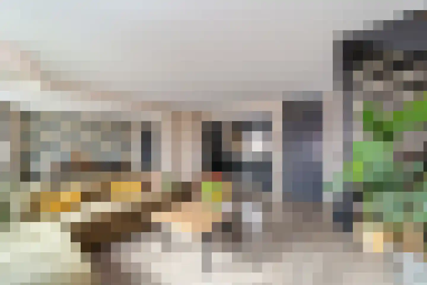 Kraaijesteijn 132 Honselersdijk thumbnail 9