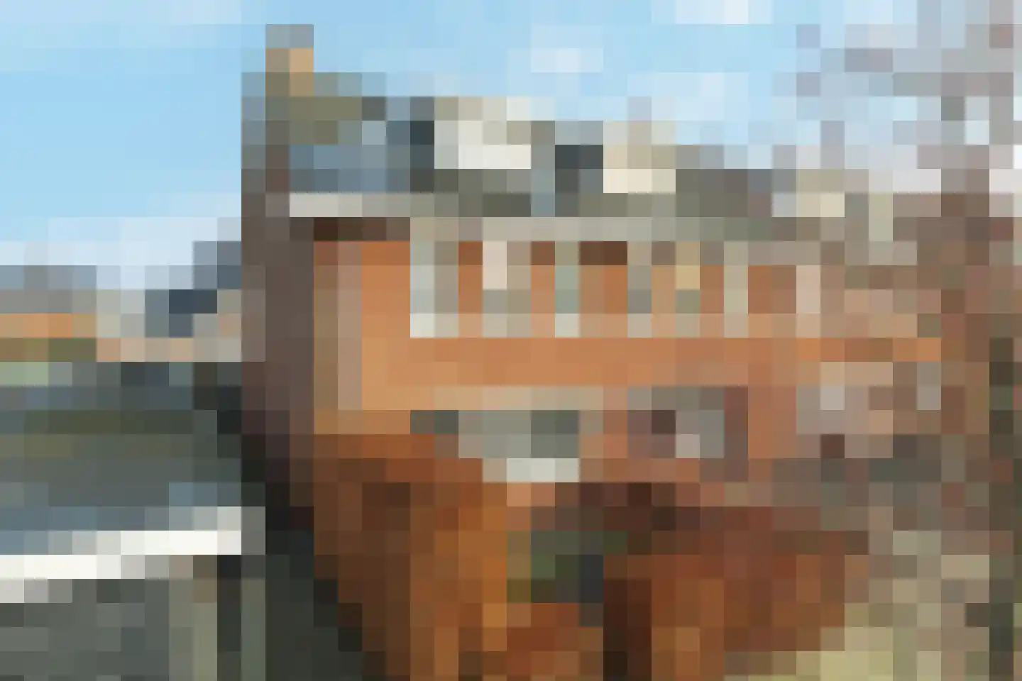 Kraaijeveldleede 27 Barendrecht thumbnail 39