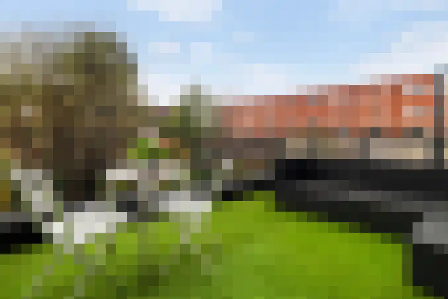 Kraaijvangerstraat 11 Rotterdam thumbnail 25