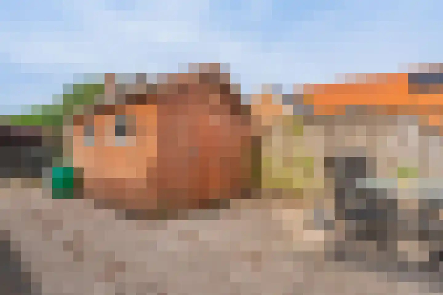 Kraaikampweg 25 Vlagtwedde thumbnail 12