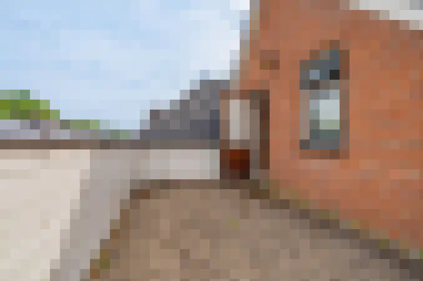 Kraaikampweg 25 Vlagtwedde thumbnail 41