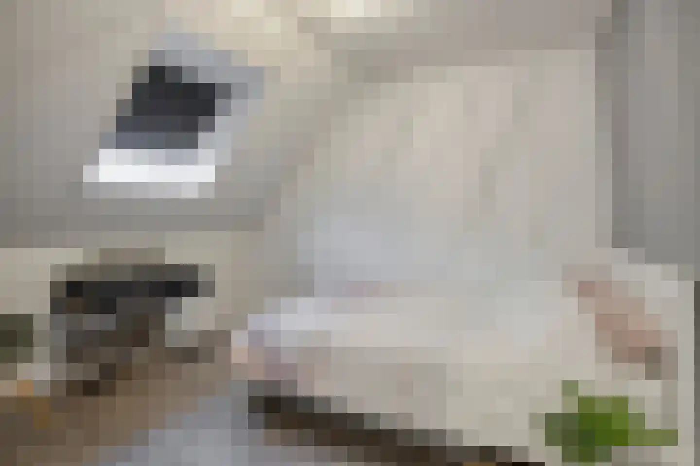 Kraaikoplaan 12 Barneveld thumbnail 30