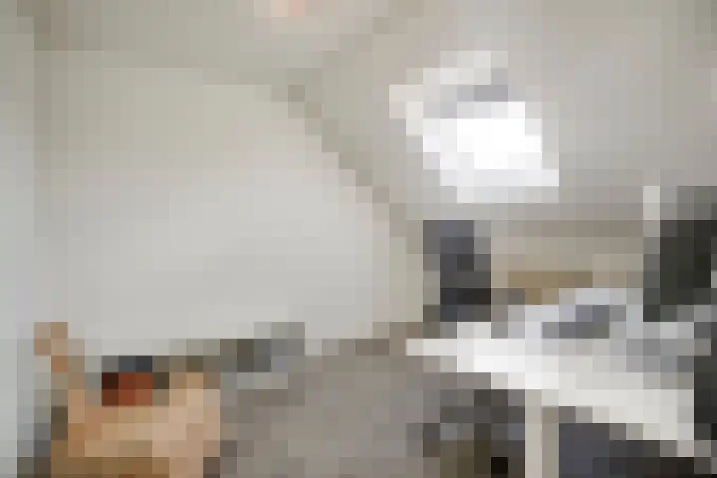 Kraaikoplaan 12 Barneveld thumbnail 31
