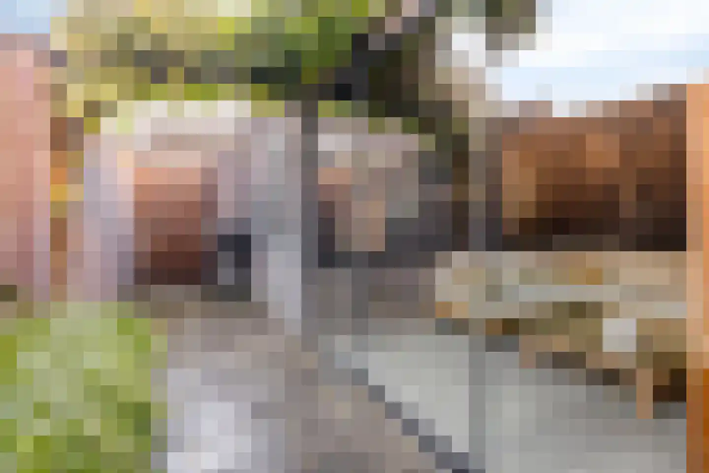 Kraaikoplaan 12 Barneveld thumbnail 33