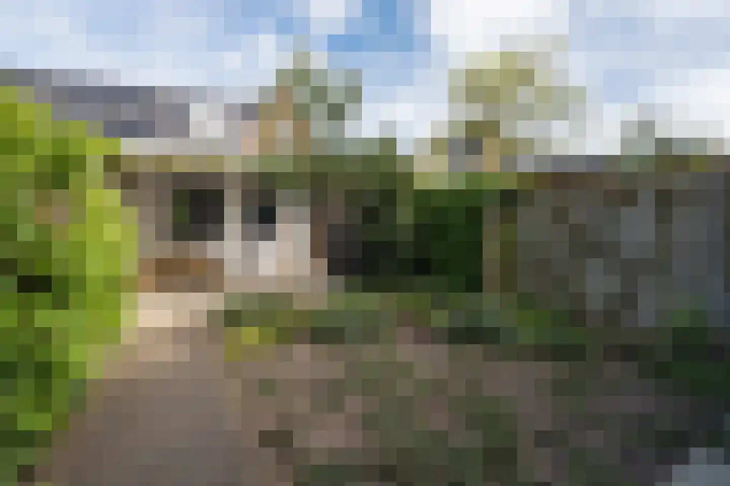 Kraaikoplaan 16 Barneveld thumbnail 36