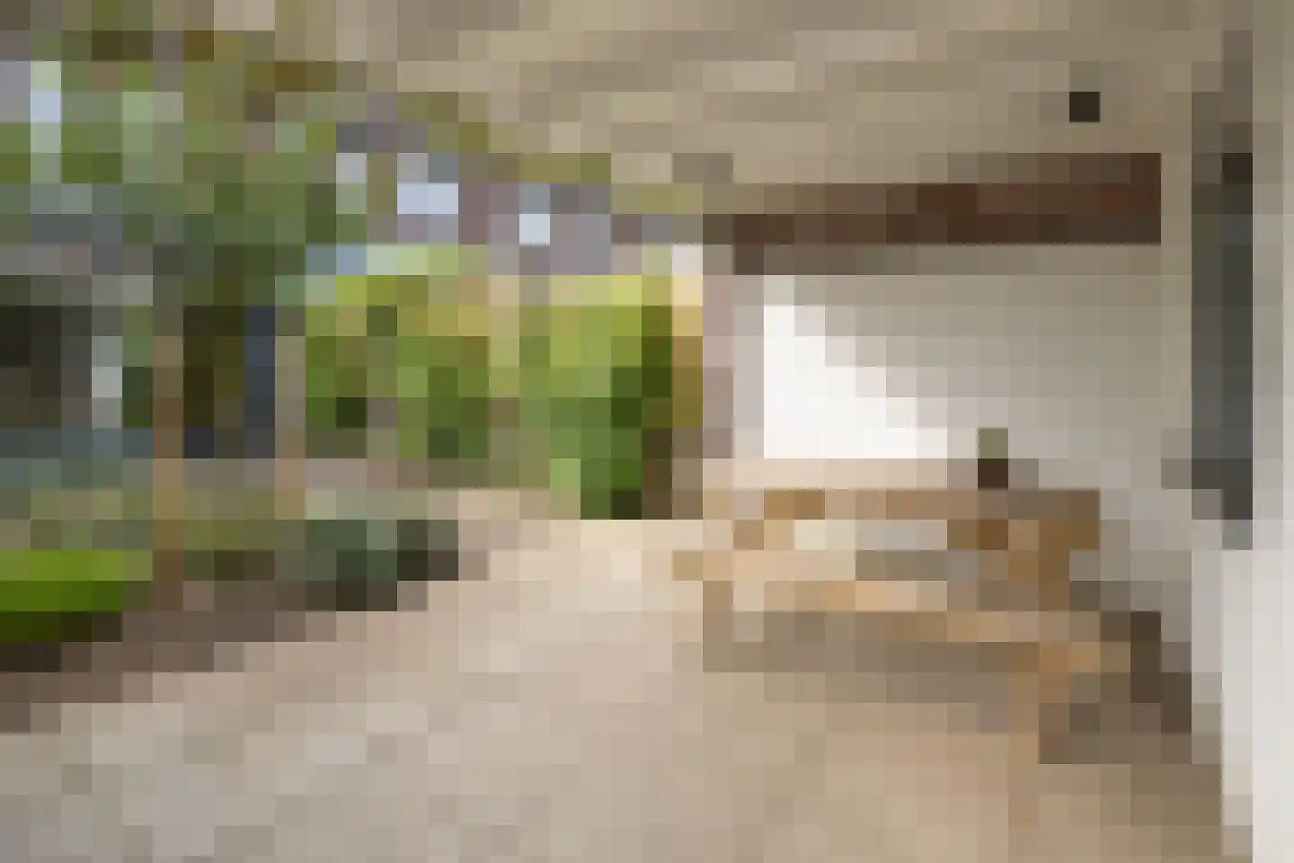 Kraaikoplaan 16 Barneveld thumbnail 41