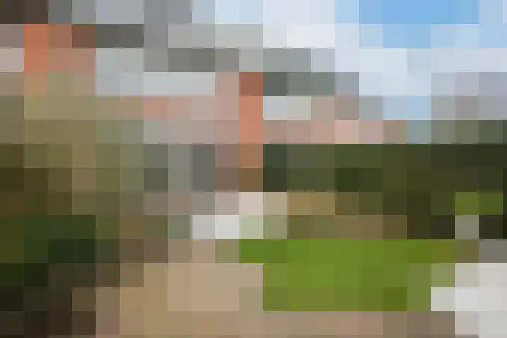 Kraailand 38 Hoogland thumbnail 35