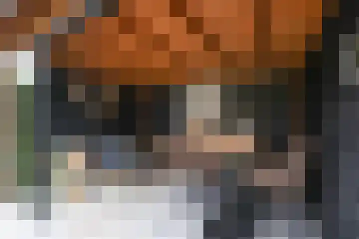 Kraailand 38 Hoogland thumbnail 38