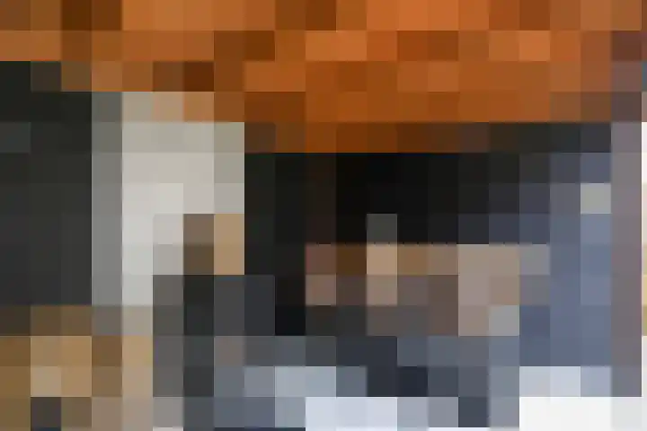 Kraailand 38 Hoogland thumbnail 39