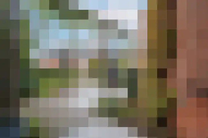 Kraailand 38 Hoogland thumbnail 43