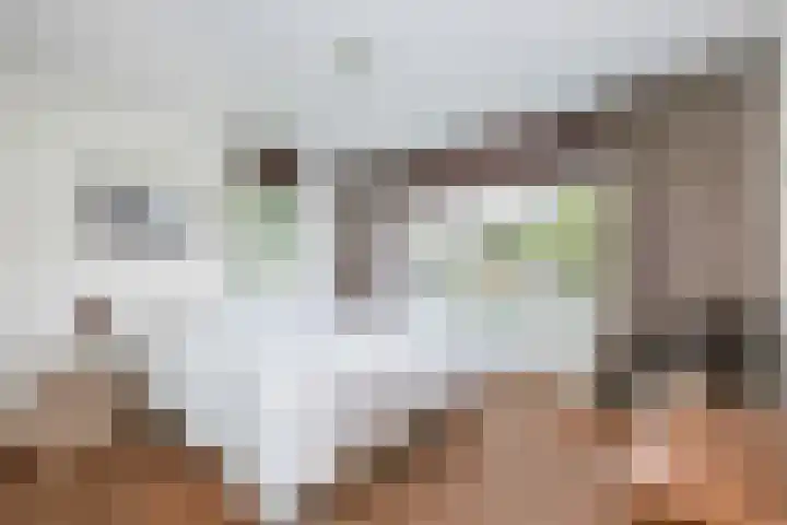 Kraailandhof 16 Hoogland thumbnail 22