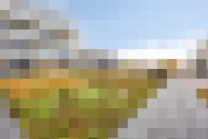 Kraailandhof 40 A Hoogland thumbnail 11