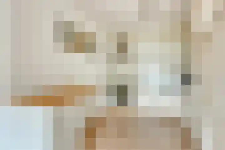 Kraailandhof 83 Hoogland thumbnail 15