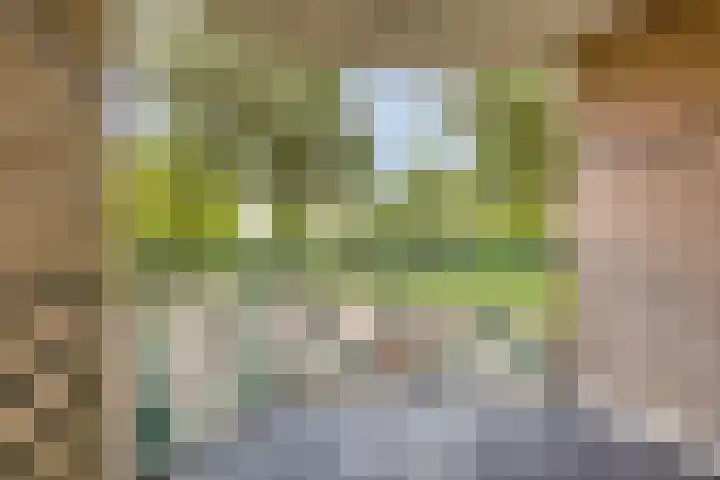 Kraailandhof 83 Hoogland thumbnail 24