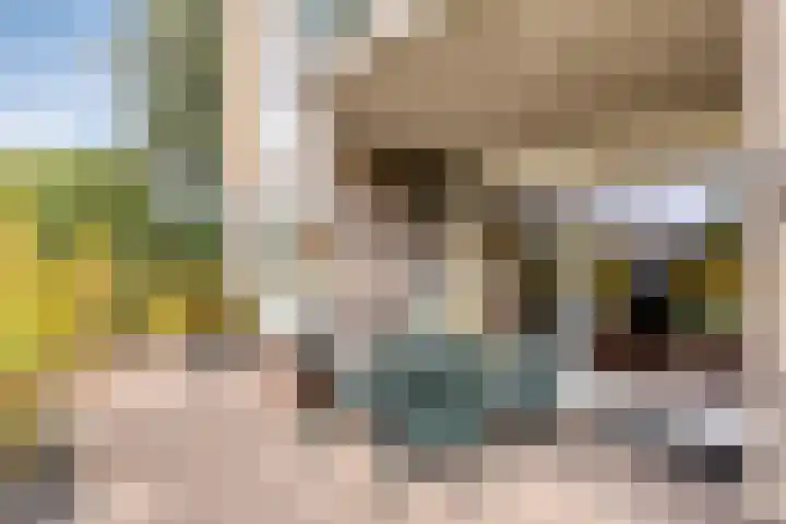 Kraailandhof 83 Hoogland thumbnail 28