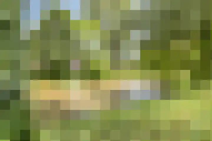 Kraailandhof 83 Hoogland thumbnail 33
