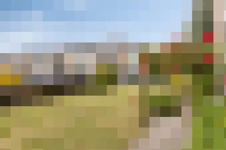 Kraailandhof 83 Hoogland thumbnail 34