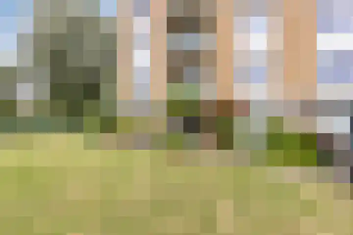 Kraailandhof 83 Hoogland thumbnail 35