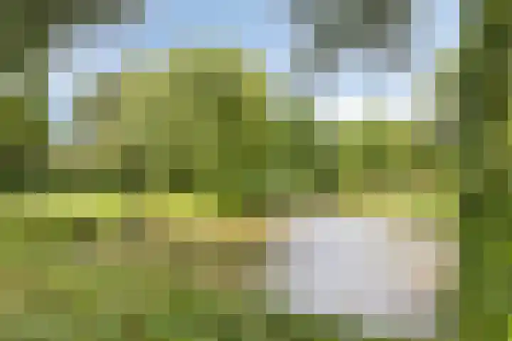 Kraailandhof 83 Hoogland thumbnail 41