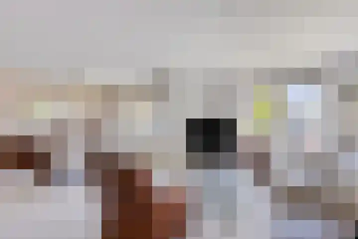 Kraailandhof 89 Hoogland thumbnail 14