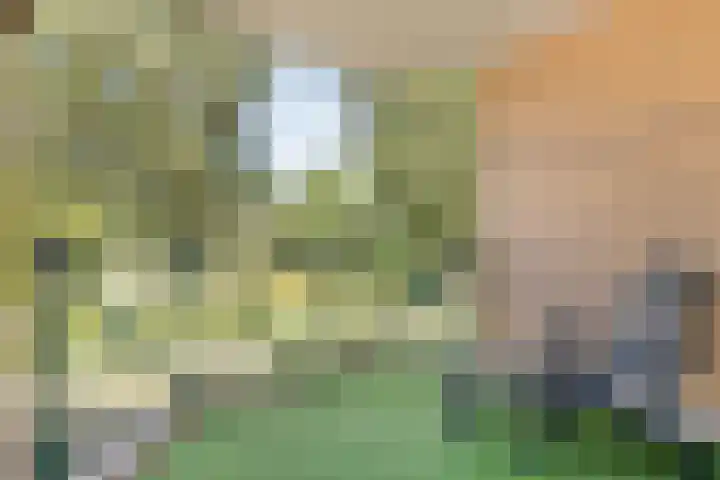 Kraailandhof 89 Hoogland thumbnail 29