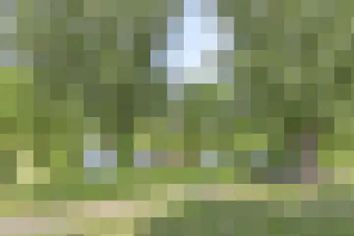 Kraailandhof 89 Hoogland thumbnail 30