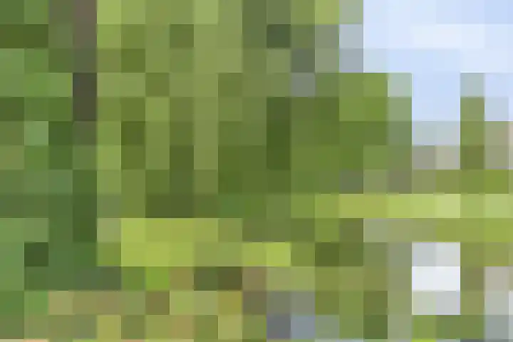 Kraailandhof 89 Hoogland thumbnail 33