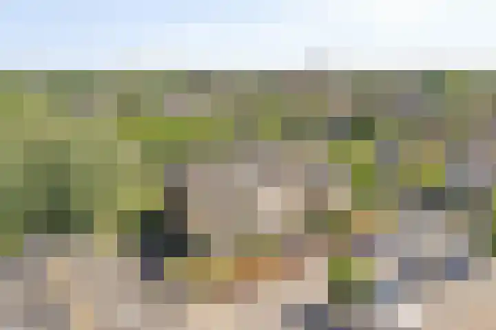 Kraailandhof 89 Hoogland thumbnail 37