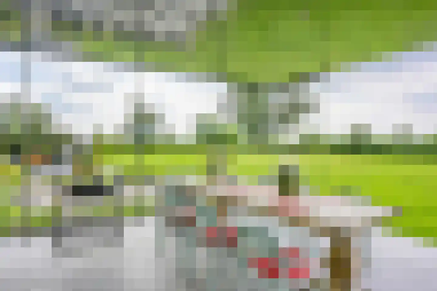 Kraaiveld 5 Woudrichem thumbnail 10