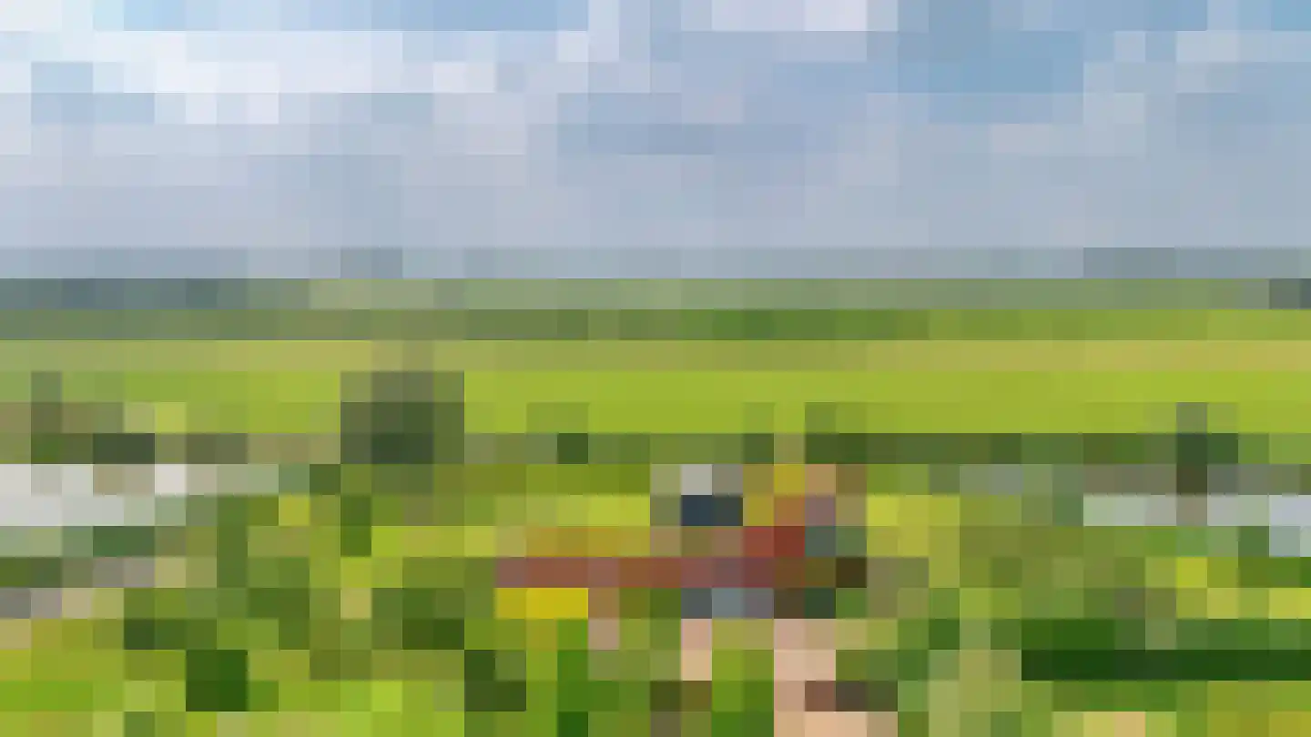 Kraaiveld 5 Woudrichem thumbnail 11