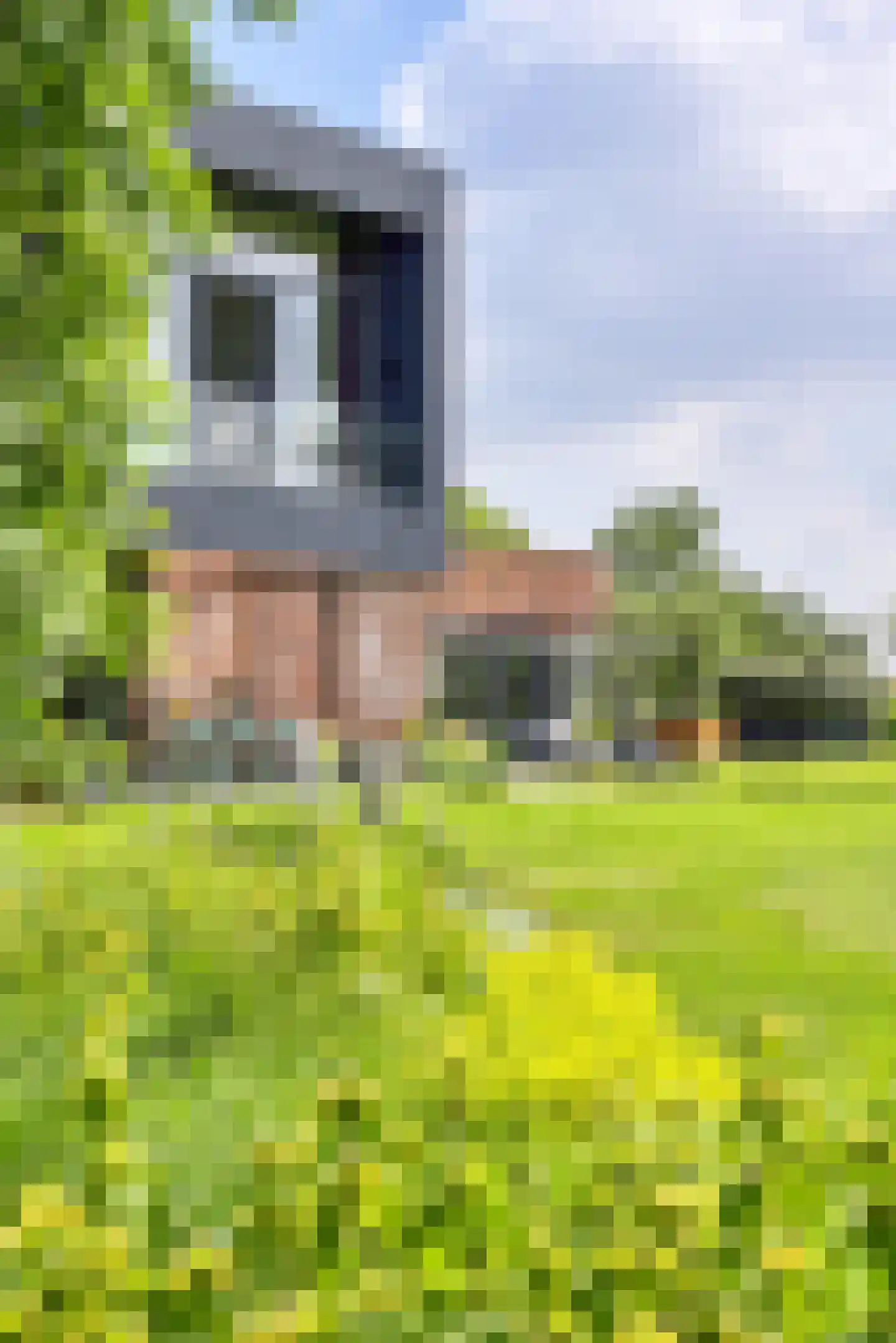 Kraaiveld 5 Woudrichem thumbnail 28