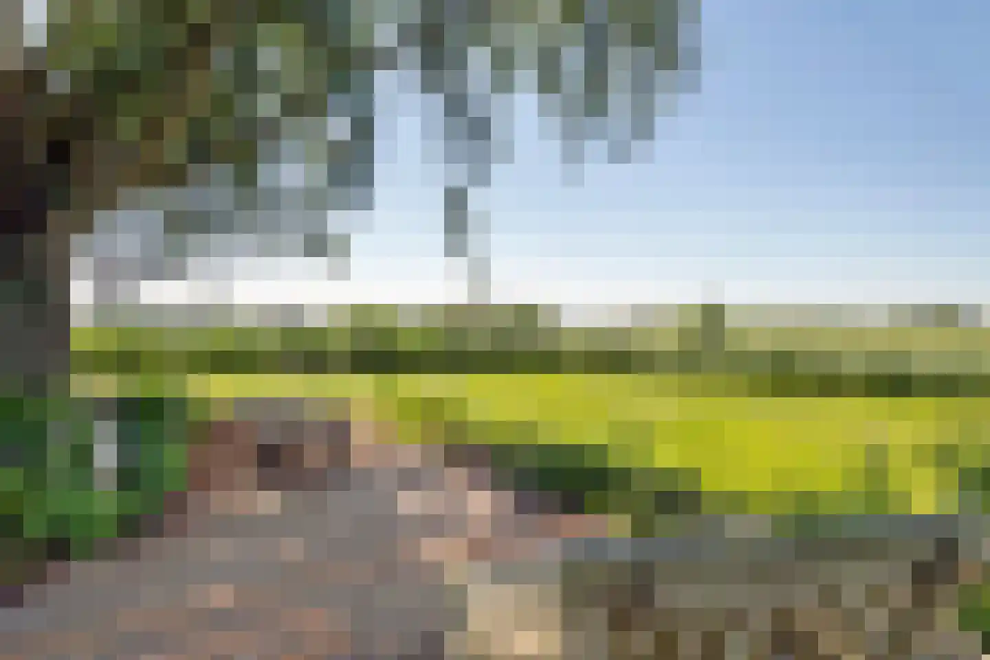 Kraaiveld 5 Woudrichem thumbnail 51