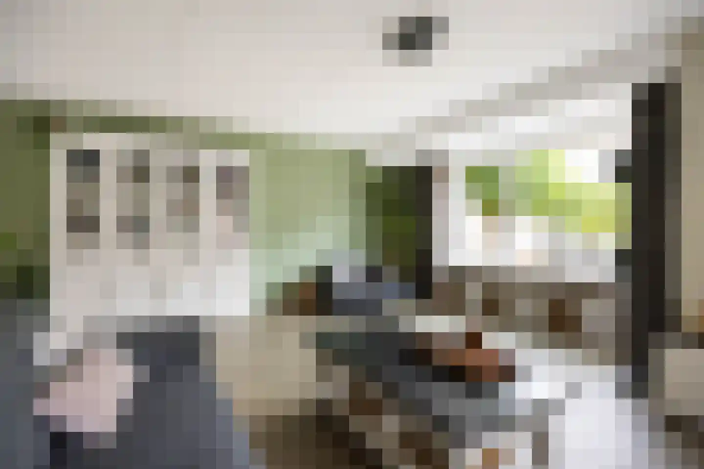 Kraak 8 Zuidhorn thumbnail 12